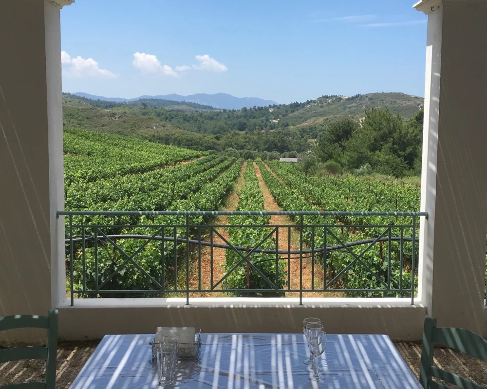 wineyard triantafyllou during Rhodes Wine Tour with Hop In